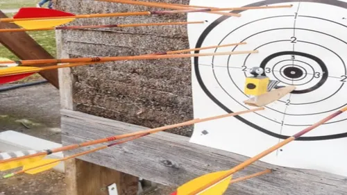 Une journée portes ouvertes pour découvrir le tir à l'arc